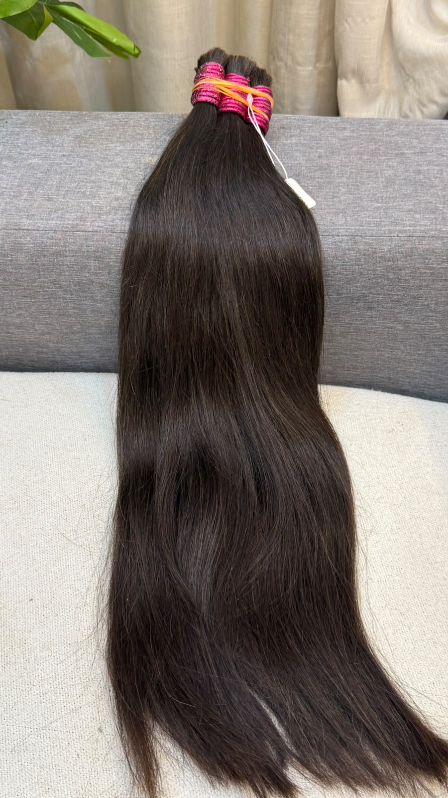 65cm Indiano Capa